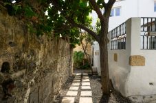 Rijhuis in Santa Brígida - 🌿 Peaceful Foreman House | Nature Retreat near Bandama
