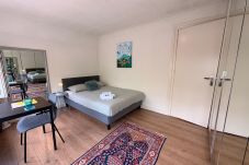 Alquiler por habitaciones en Groningen - Charming Maya Room Close to City Center & UMCG