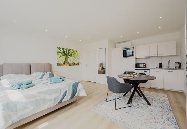 Apartamento en Spijkenisse - Cosy studio in Stadscentrum 