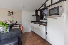 Chalet in Putten - Luxury Chalet near the Veluwe Forest 